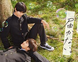 seo文章素材怎么找